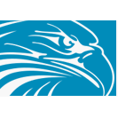 Falco Icon Studio
