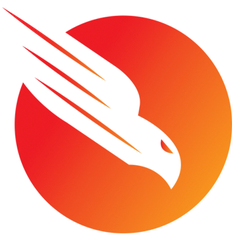 Falcon Tag Audit