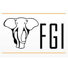 FGI