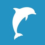 FlypSite
