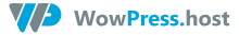 Fully Managed WordPress websites hosting