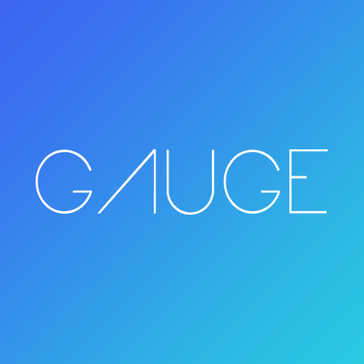 Gauge