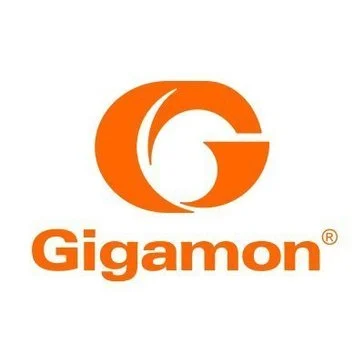 GigaSMART