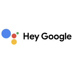 Google Assistant