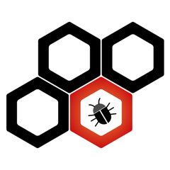 Google ClusterFuzz