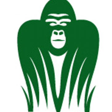 Gorilla Scheduling