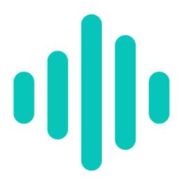 GoVoize