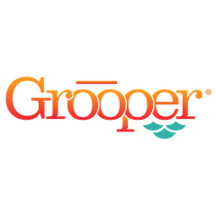 Grooper