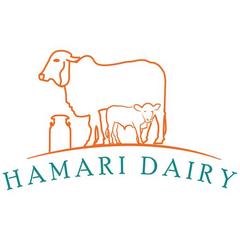 Hamari Dairy