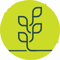 HealthChase