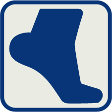 HealthFlow