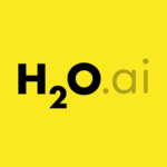 HO Driverless AI