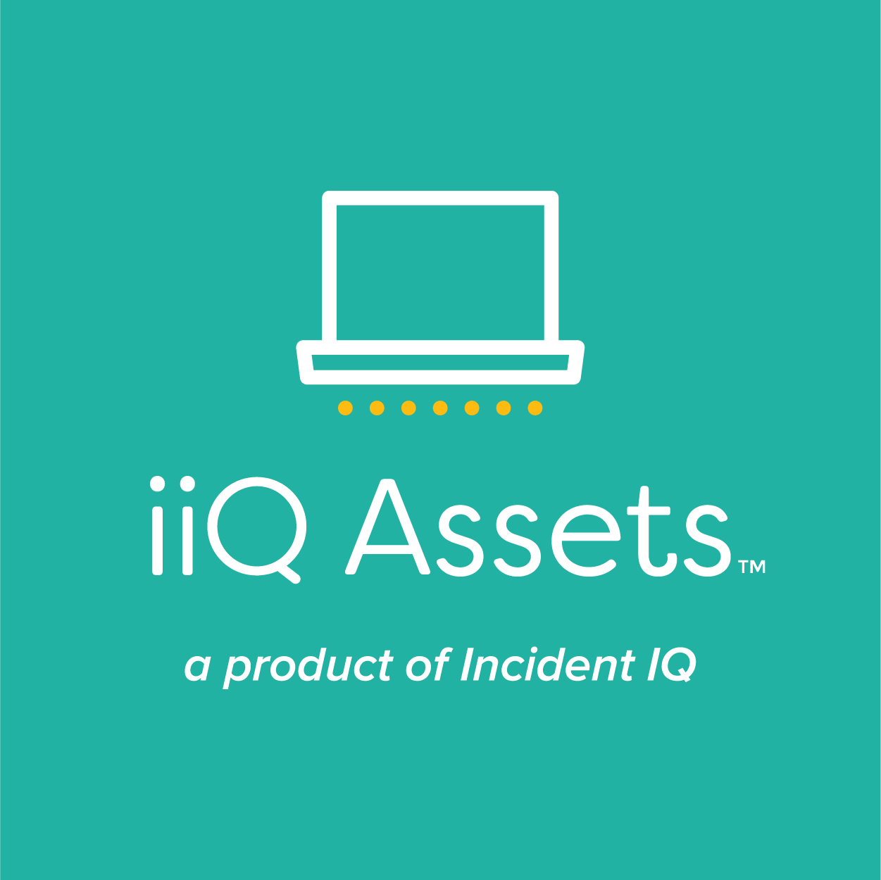 iiQ Assets