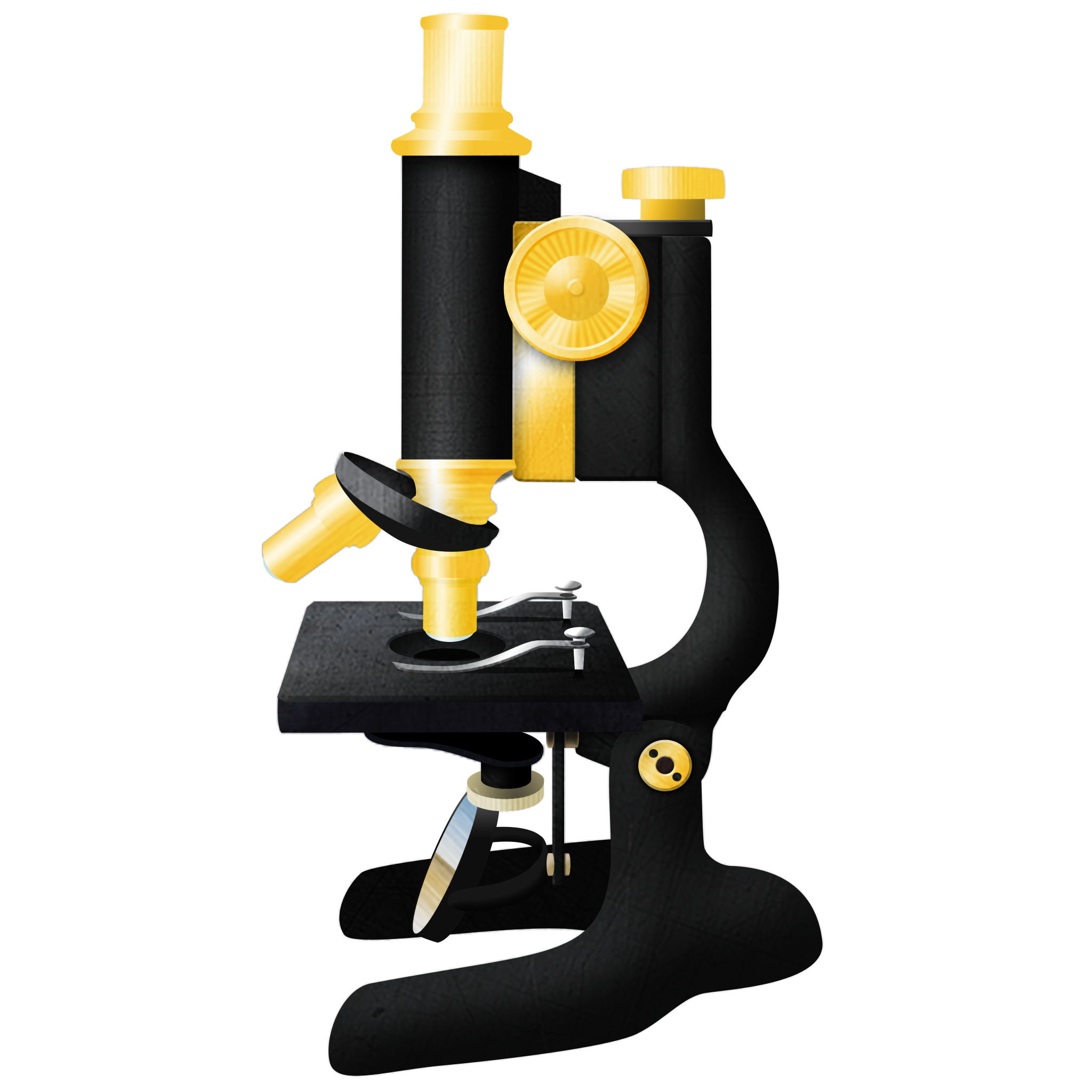 ImageJ