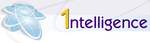 Intelligence