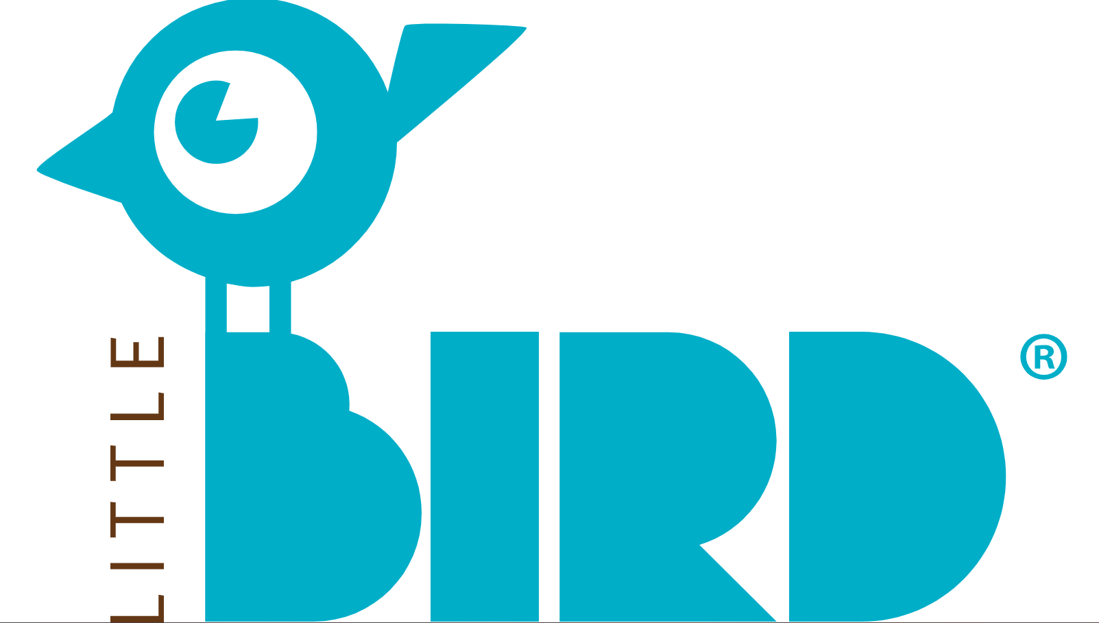 LITTLE BIRD