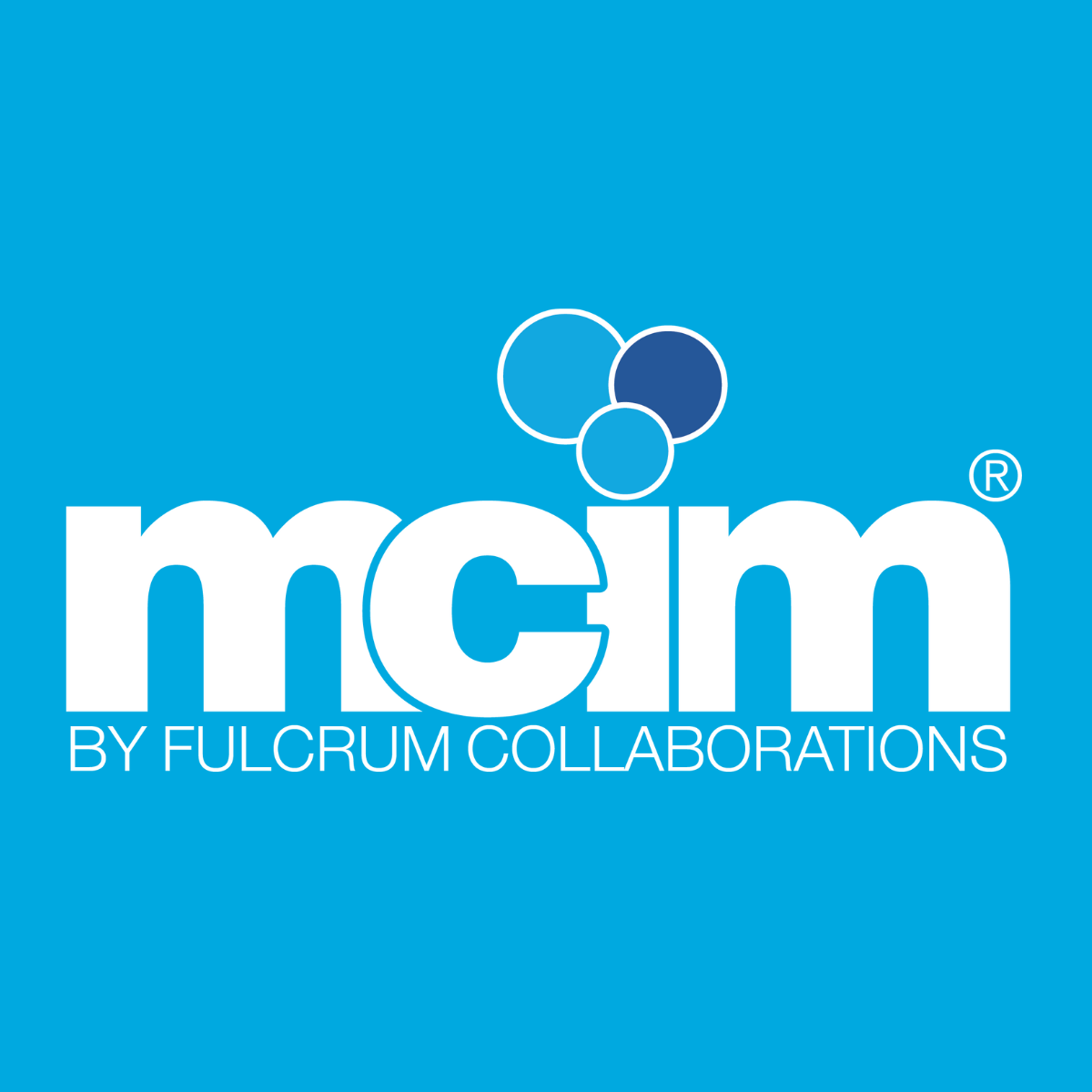 Mission Critical Information Management (MCIM)
