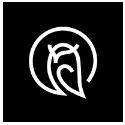 Monocle