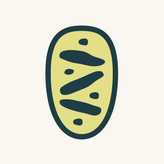 MyZenTeam