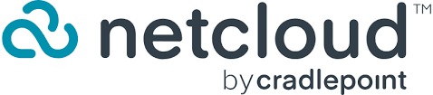 NetCloud SASE