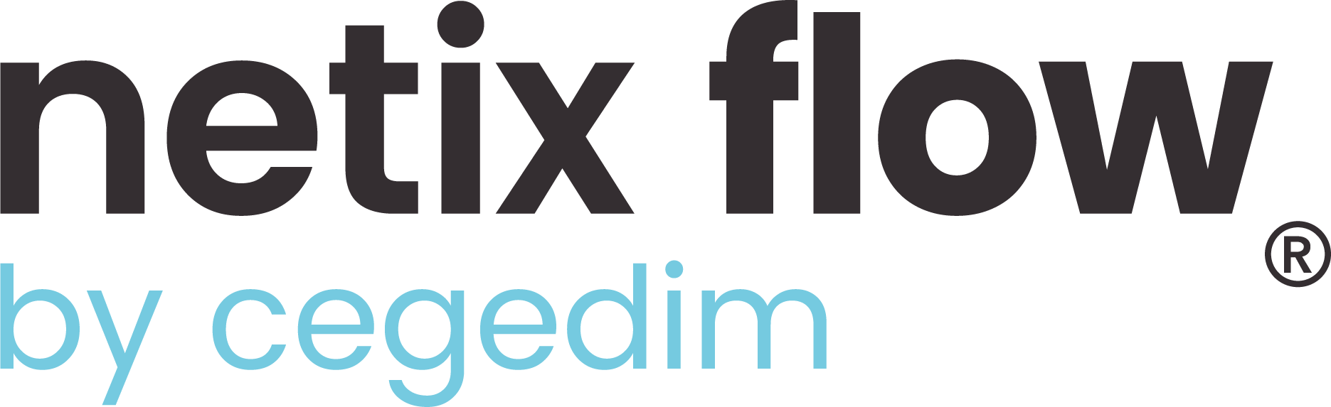 Netix Flow