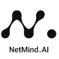 NetMind AI