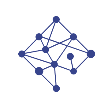 Network Perspective