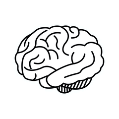 NeuroICH