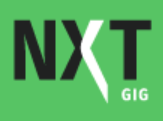 Nxtgig.ai Skill Assessment