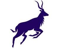 NYALA Digital Asset