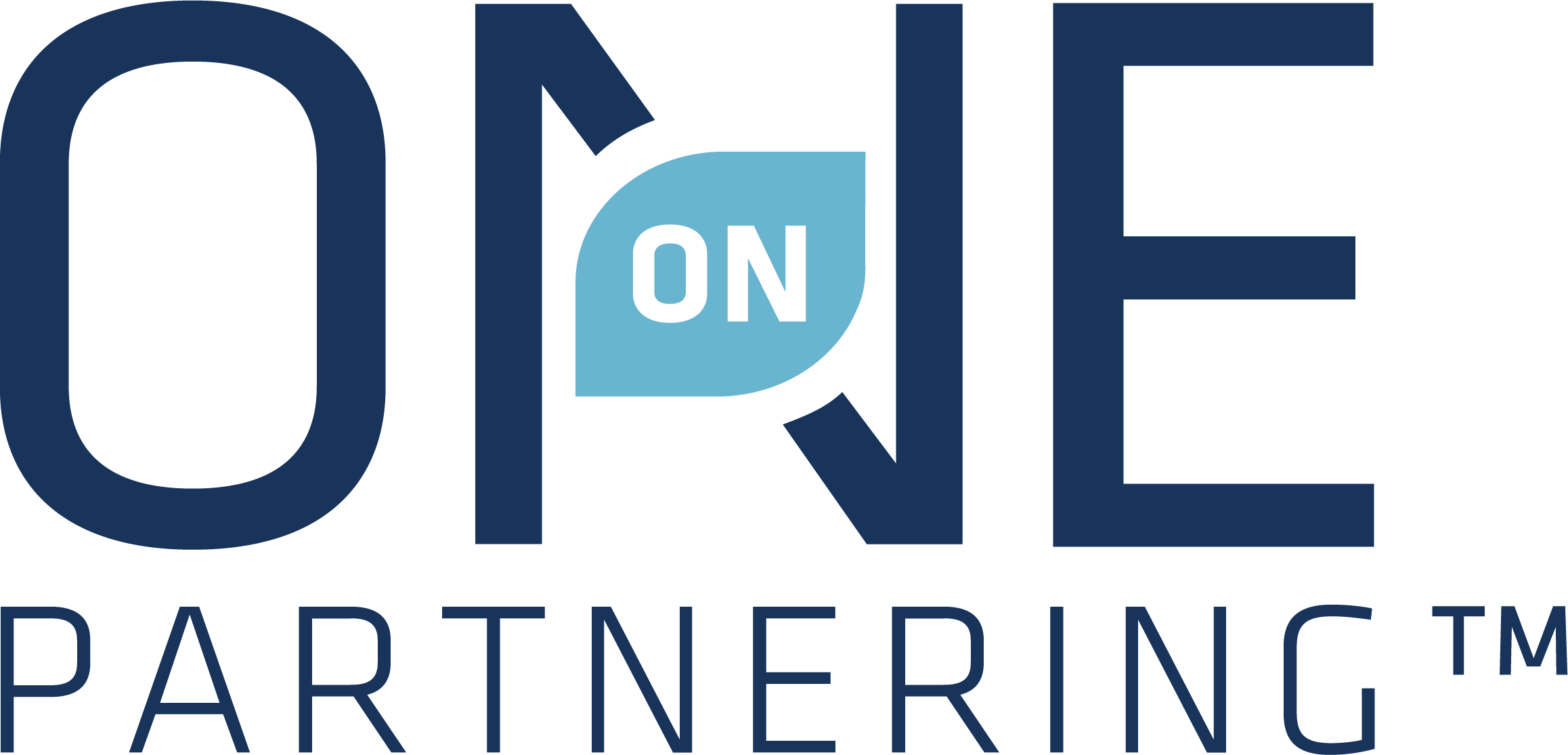 One-on-One Partnering