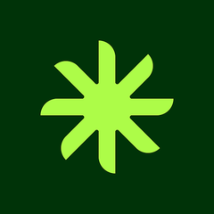 Palm