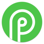 Payid19.com