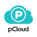 pCloud Business