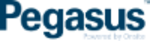 Pegasus.net