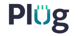 Plug