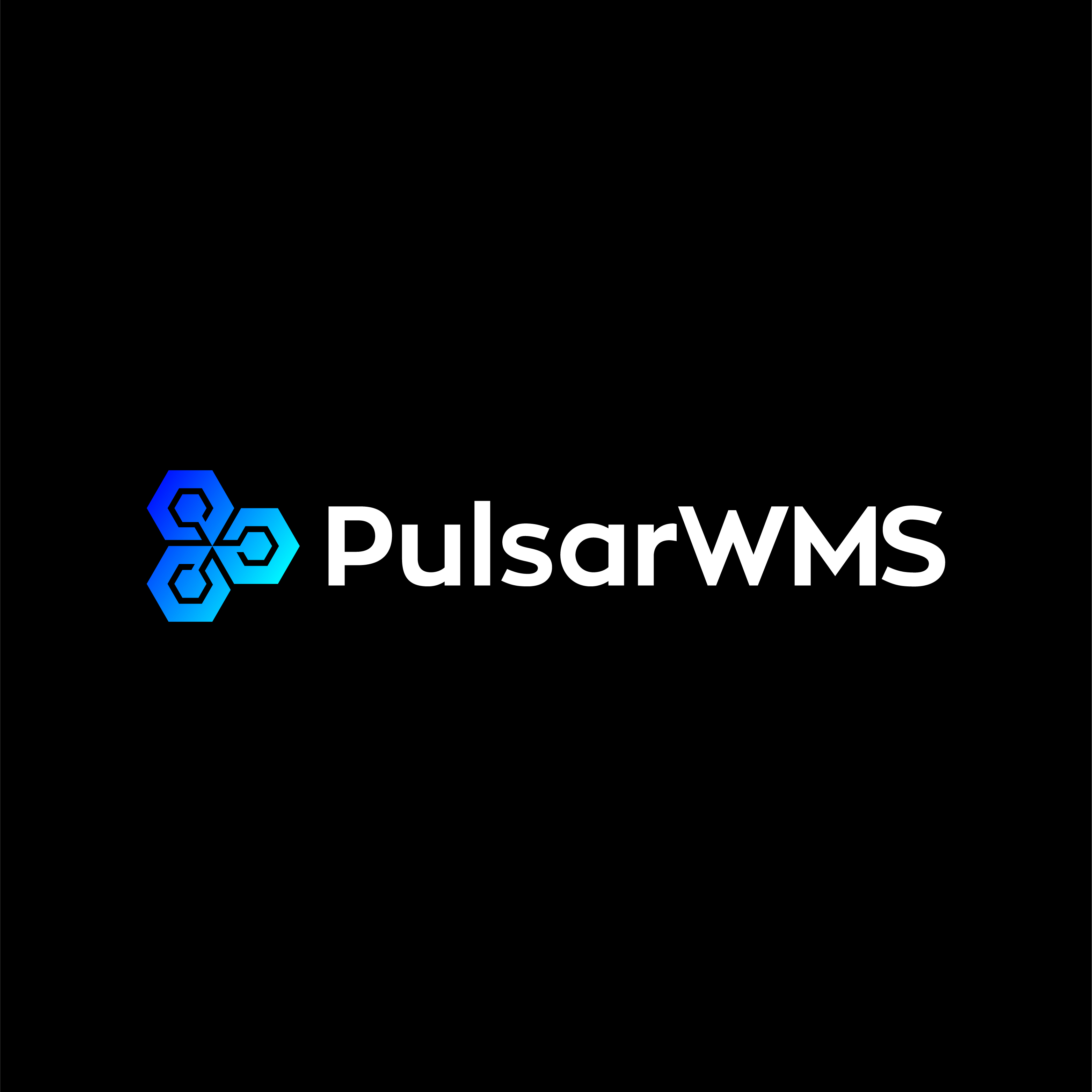 PulsarWMS
