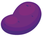 Purple Potato