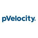 pVelocity