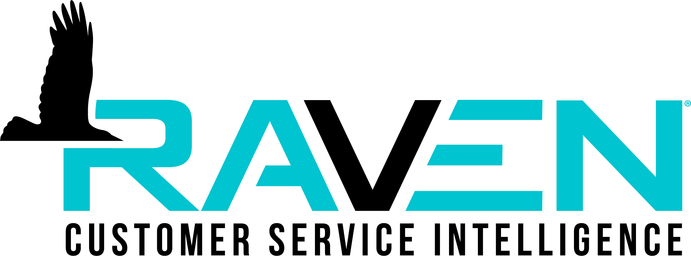 RavenCSI