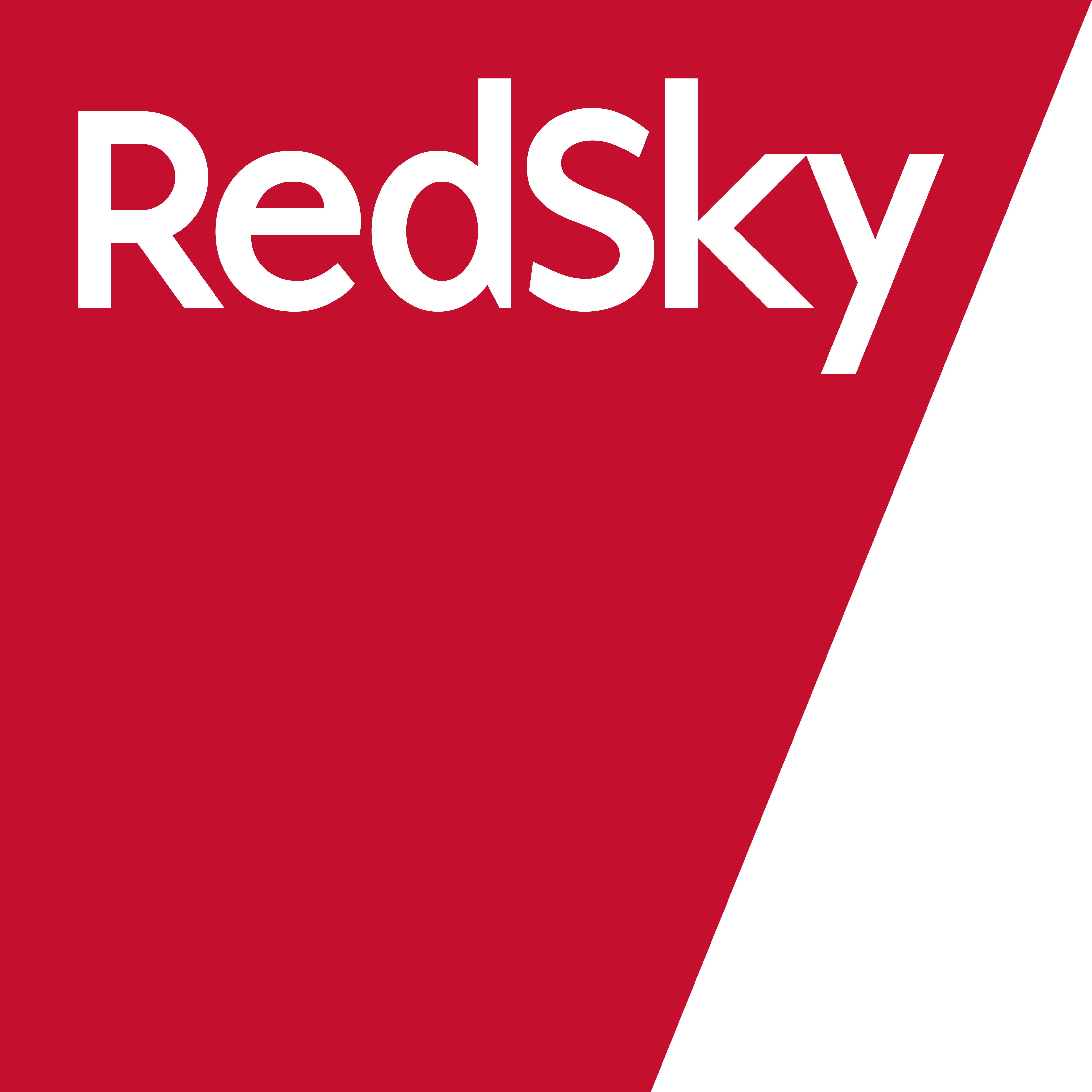 Redsky ERP