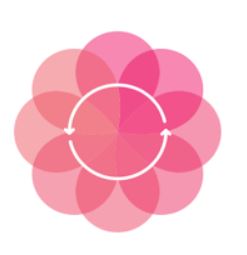 Roseon WonderApp