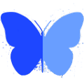 Salesforce Tool Suite
