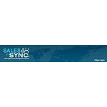 SalesInSync
