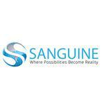 Sanguine POS