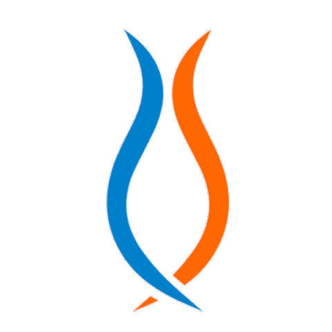 Schoonsoft