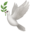 Scopebird