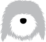 Sheepdog