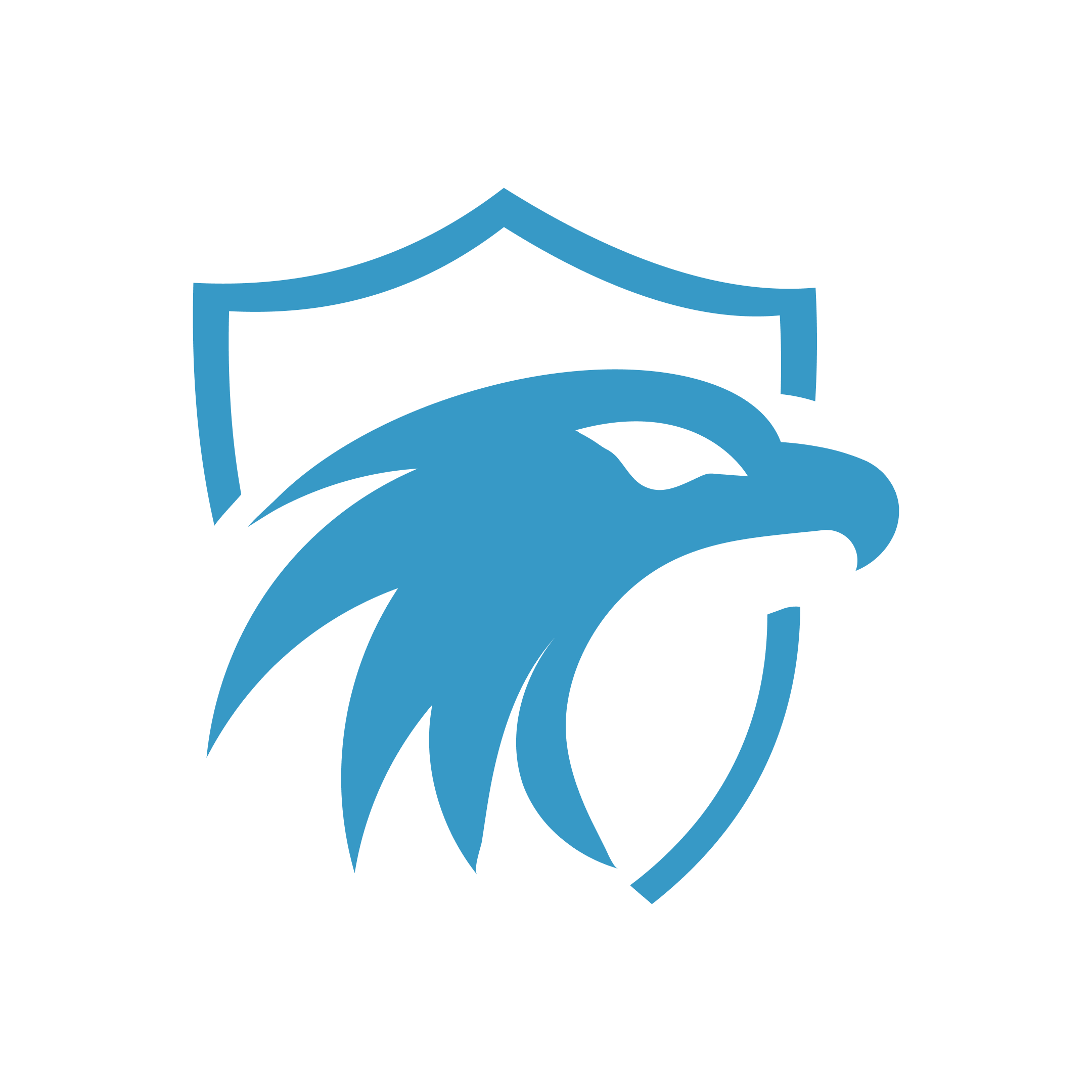 Site Hawk