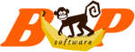 Software Business Plan